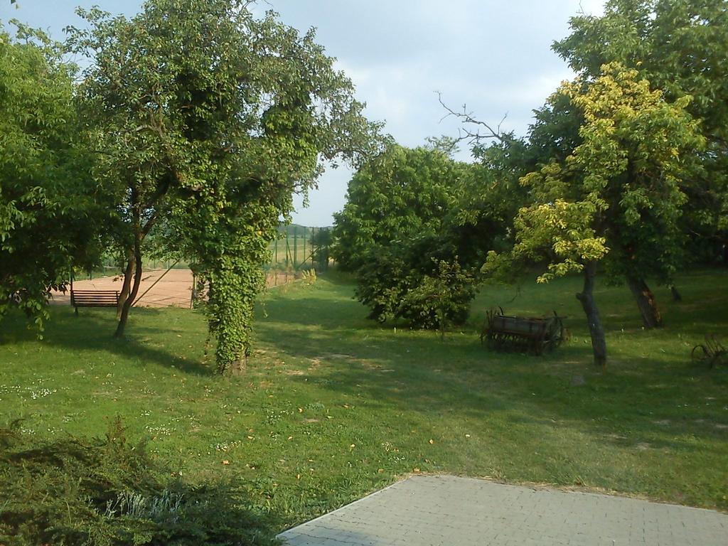 Borostyankert Etterem & Vendeghaz Hotel Sitke Exterior foto